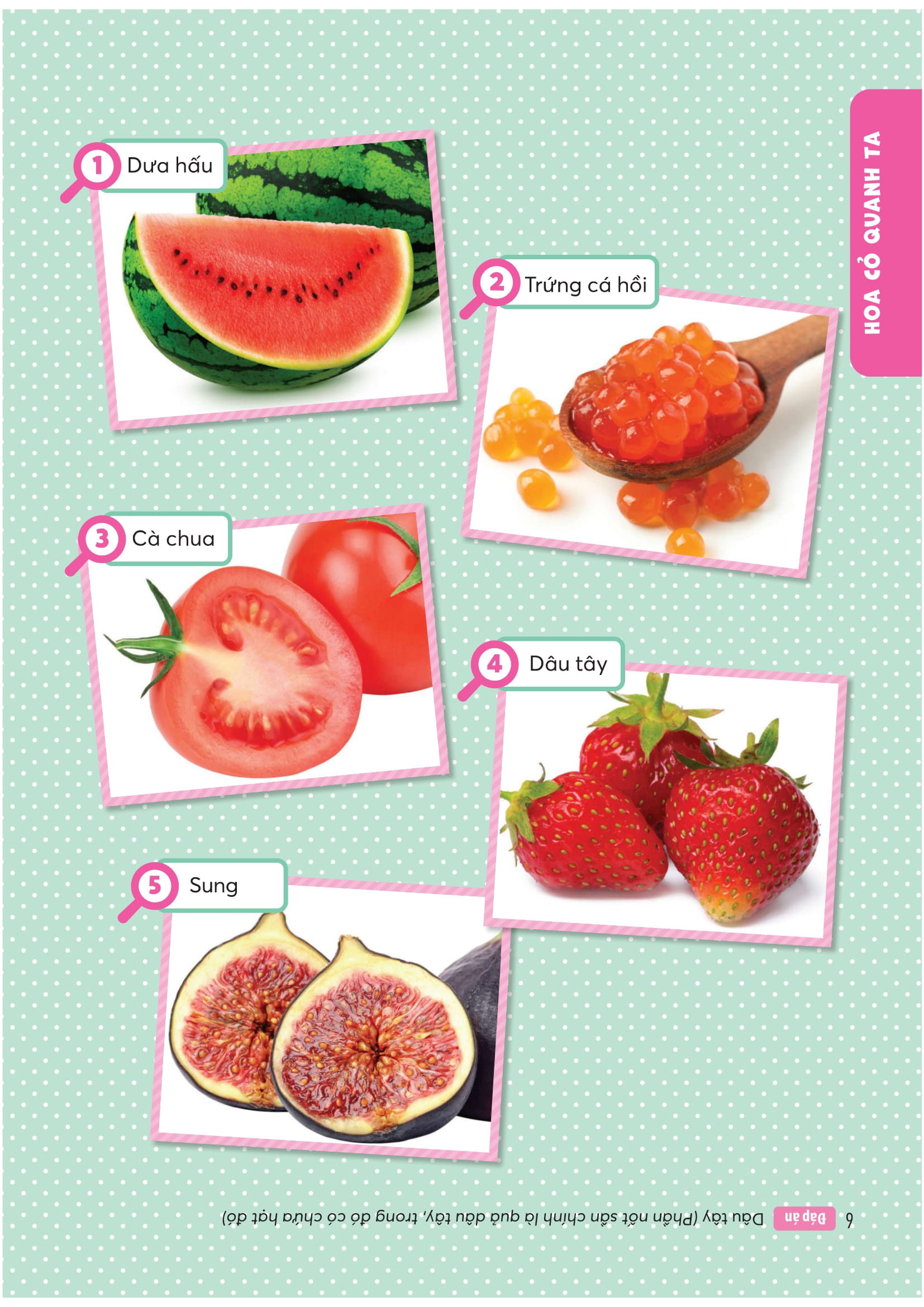 Wiki Wiki Tien Tieu Hoc - Dua Tre Thien Tai - Khoa Hoc Ky Thu