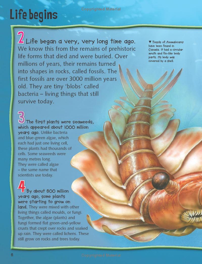 wild about dinosaurs