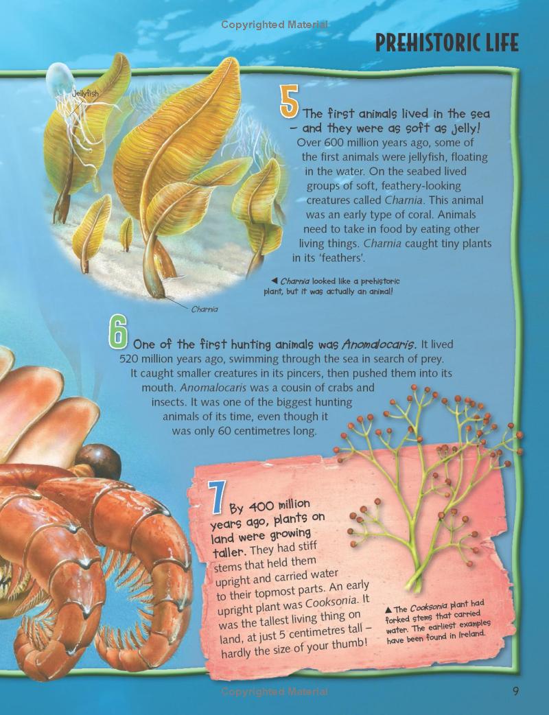 wild about dinosaurs