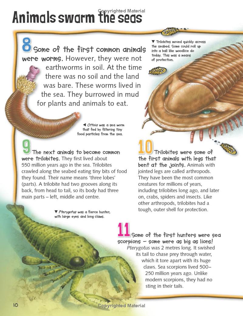 wild about dinosaurs