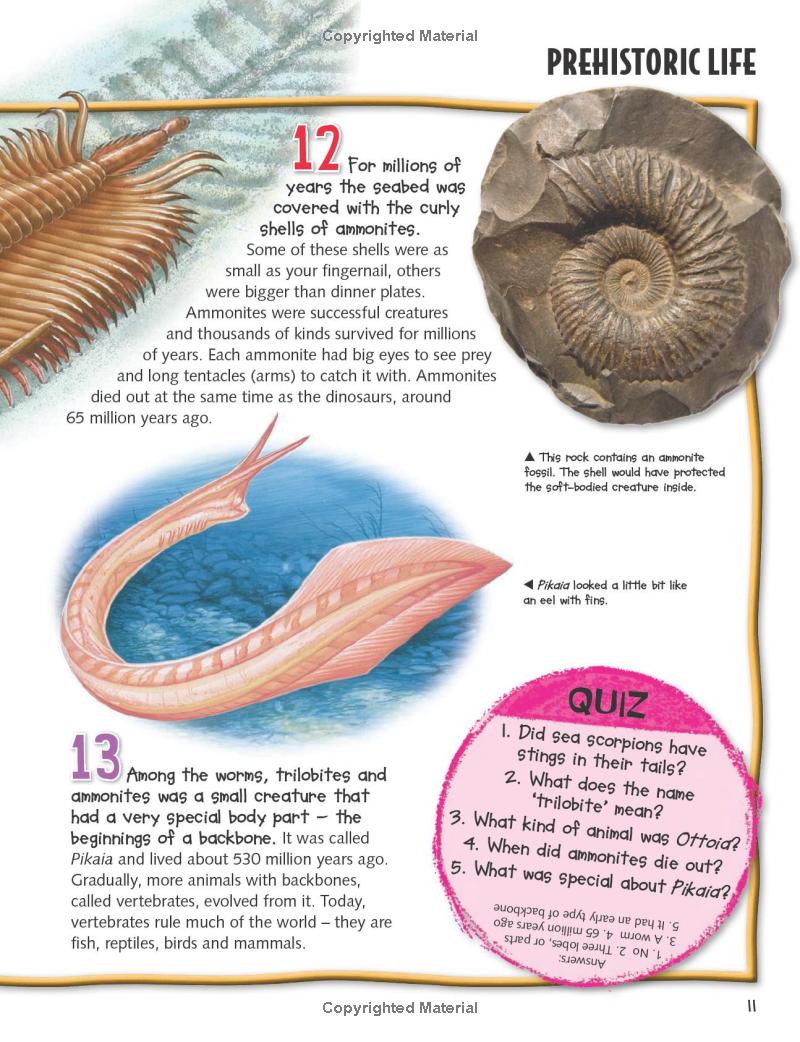 wild about dinosaurs