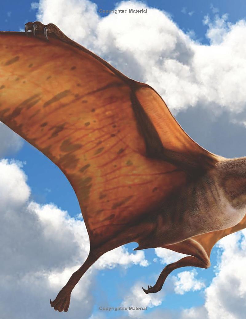 wild about dinosaurs