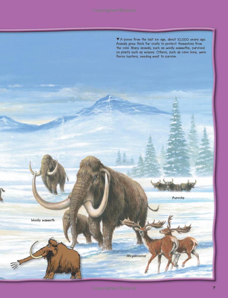 wild about dinosaurs