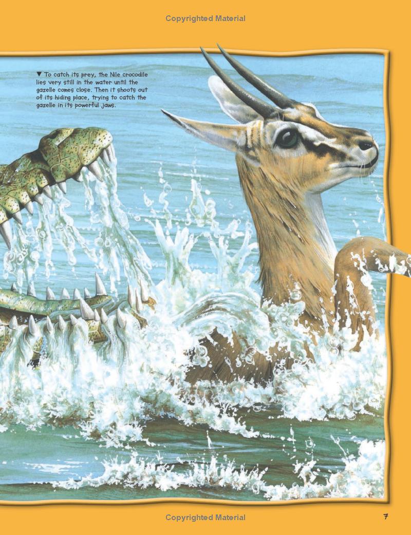 wild about fierce creatures