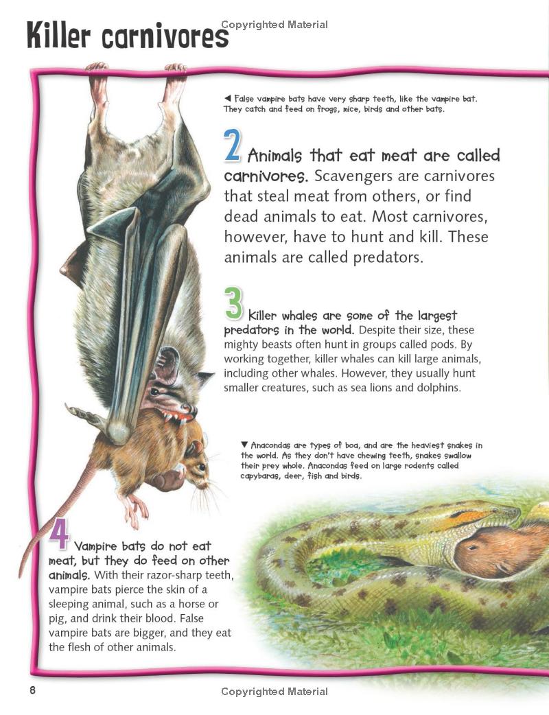 wild about fierce creatures