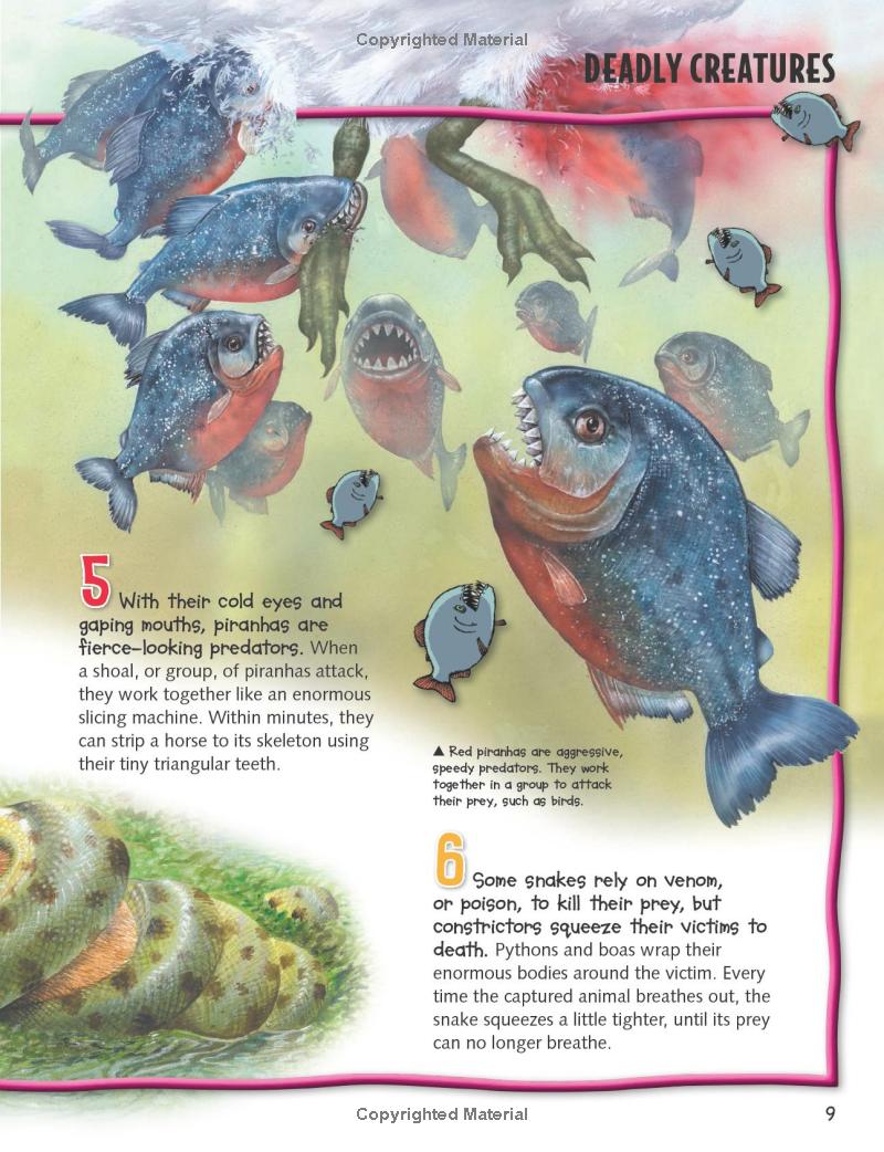 wild about fierce creatures