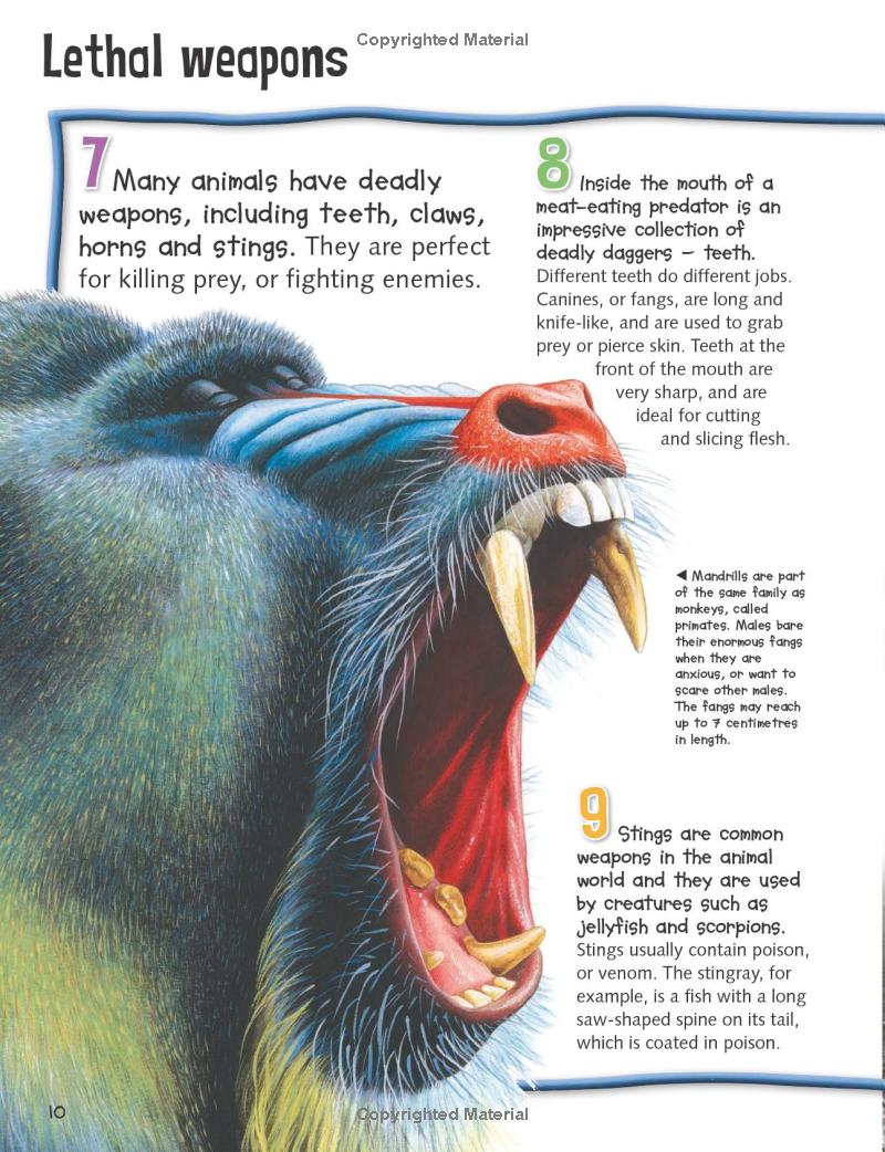 wild about fierce creatures