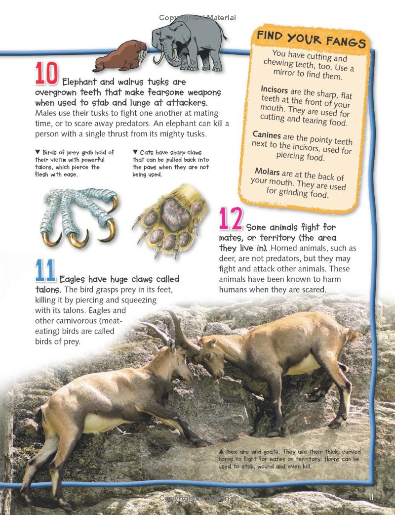 wild about fierce creatures