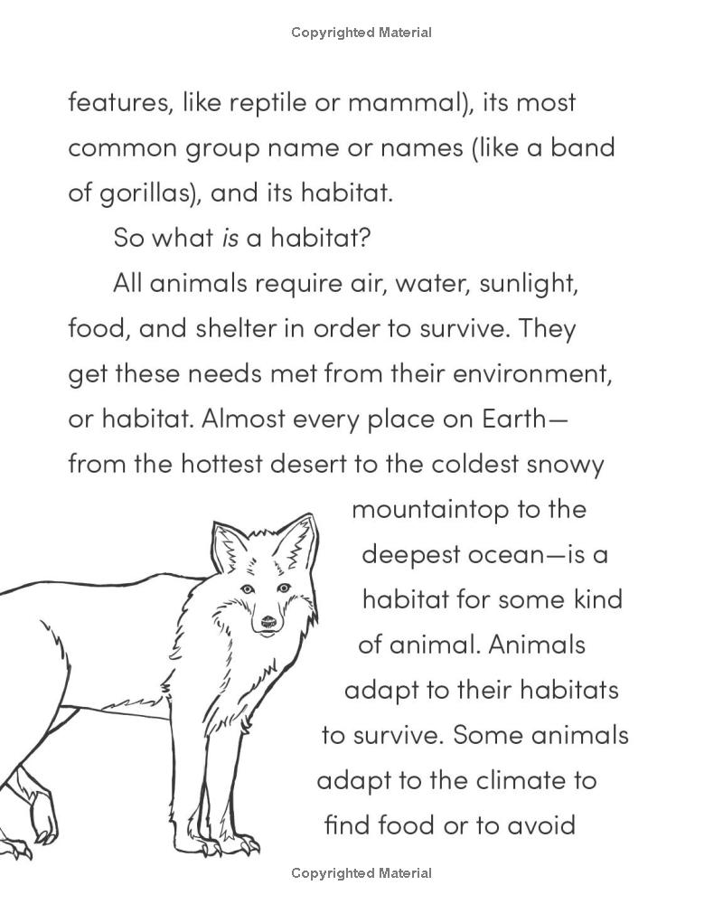 wild animal book for kids