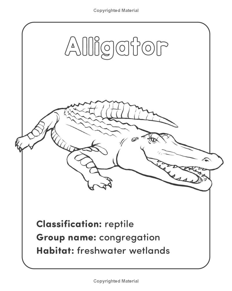 wild animal book for kids