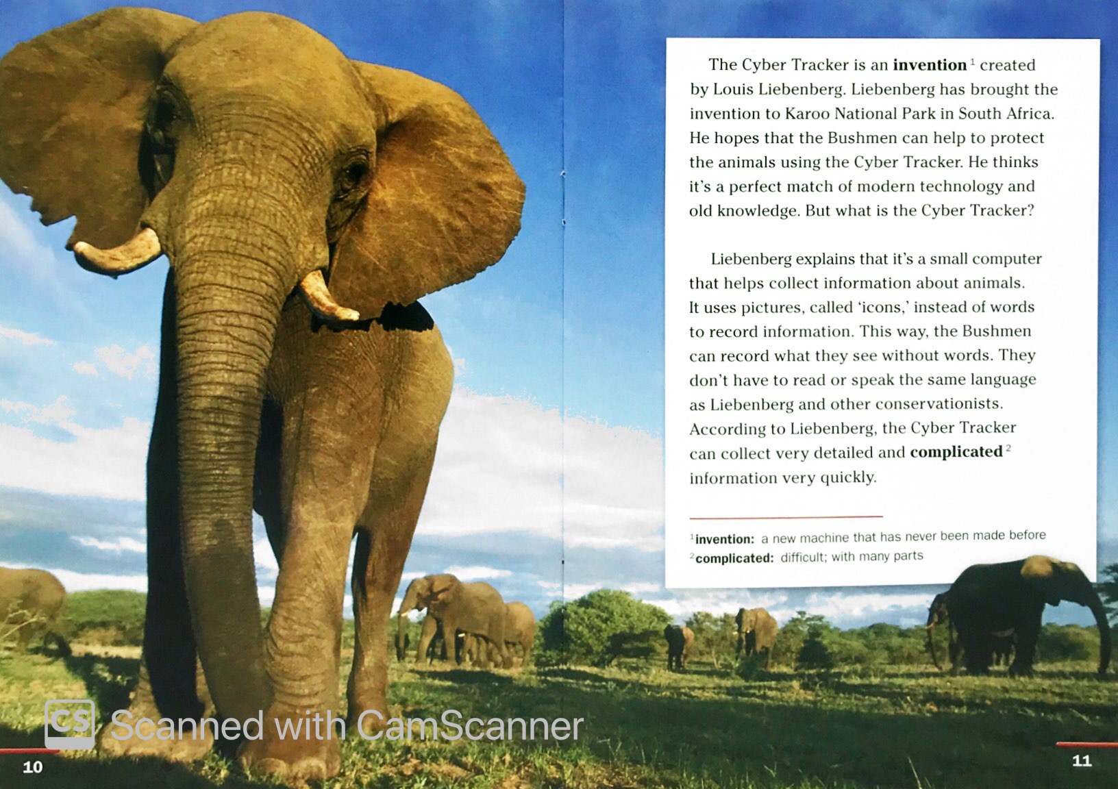 wild animal trackers: footprint reading library 1000 1st edition