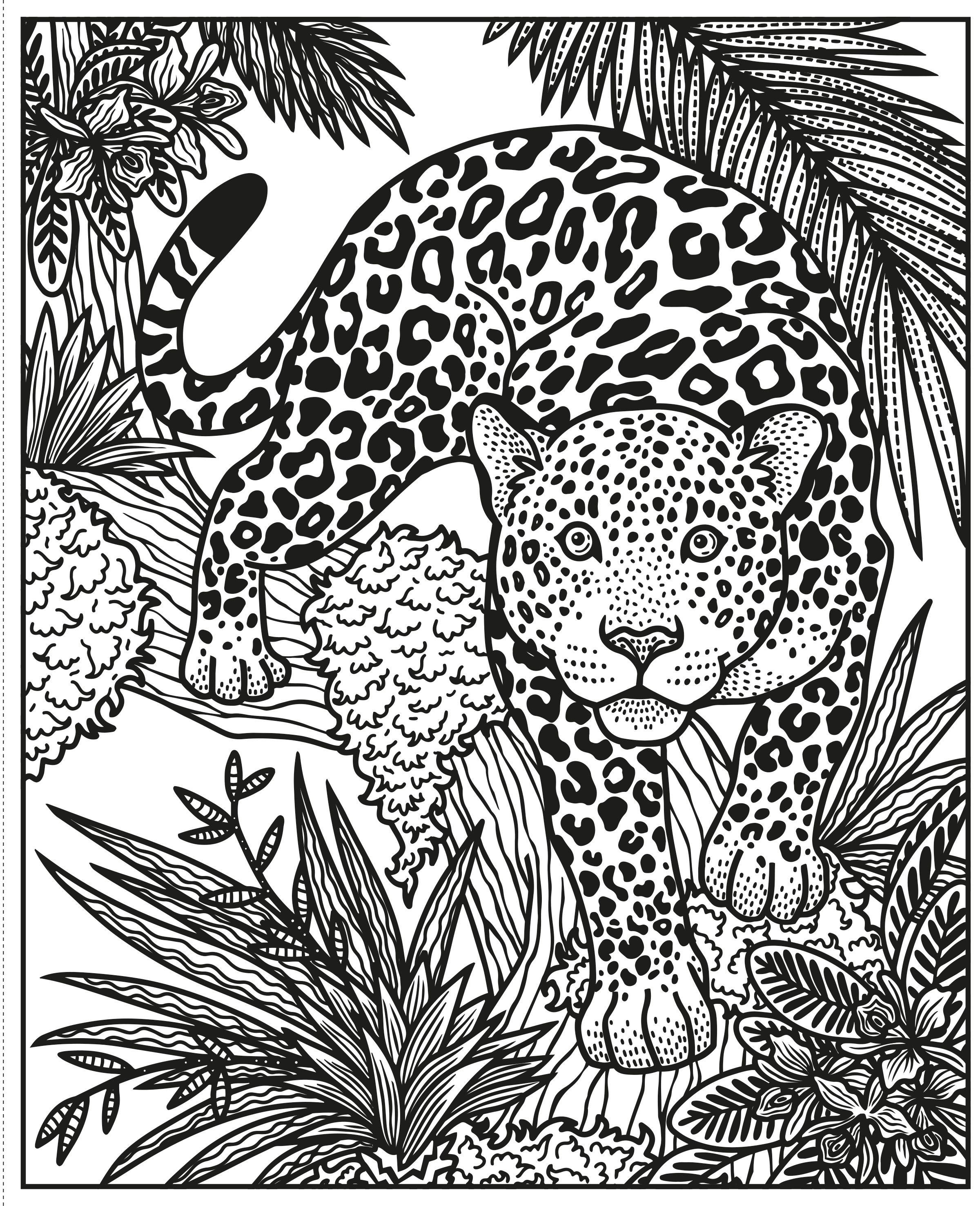 wild animals magic painting book