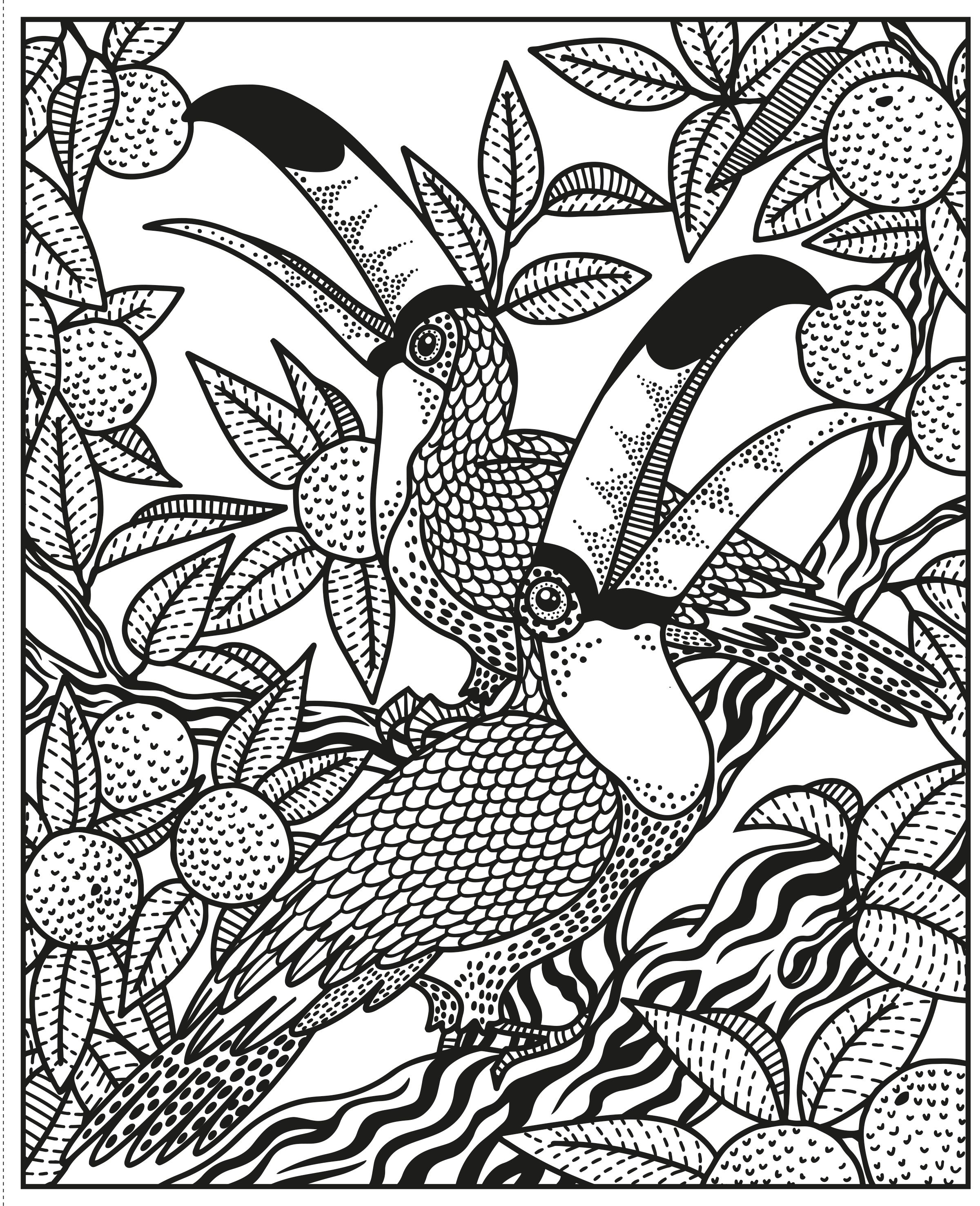 wild animals magic painting book