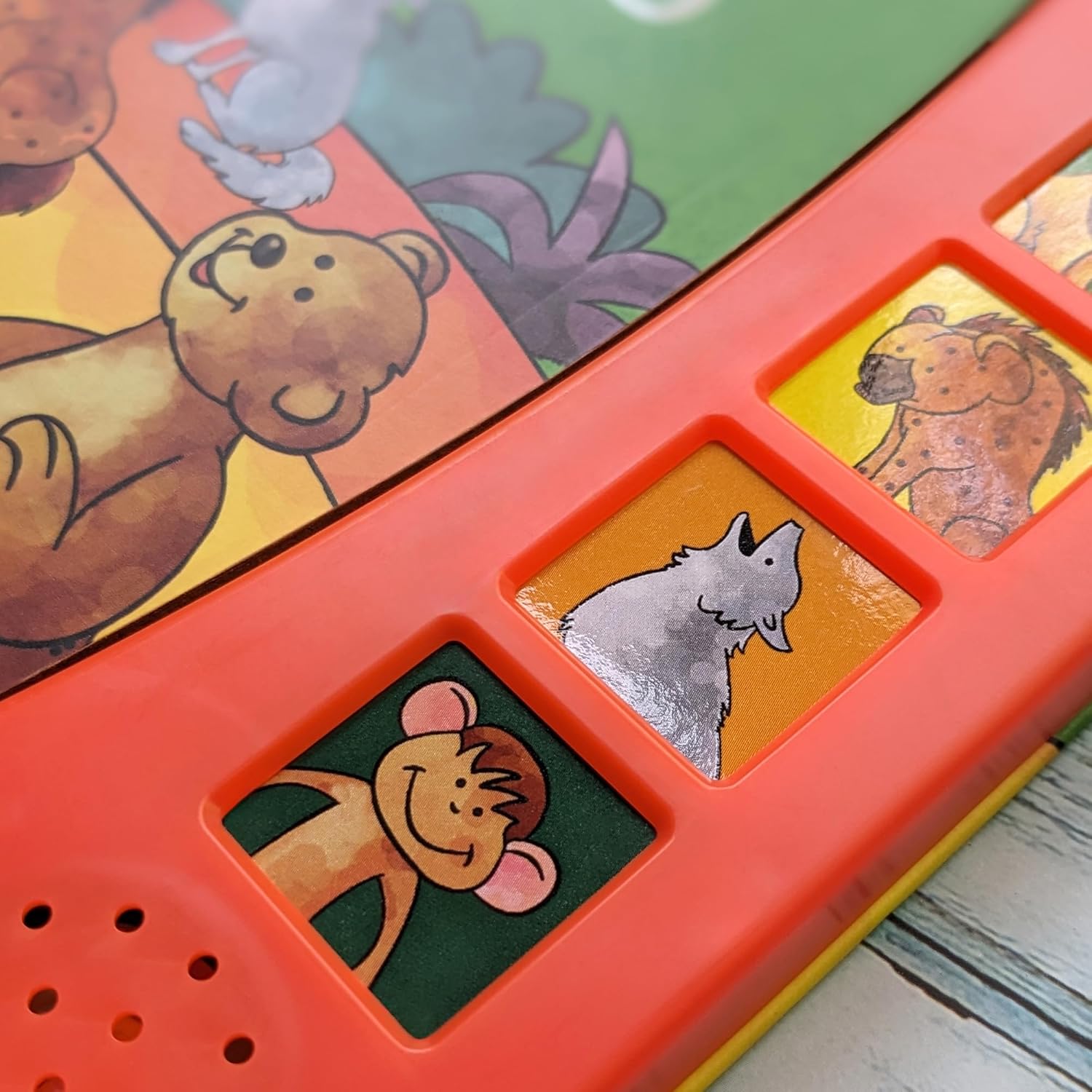 Wild Animals - With 6 Fun Wild Sounds!