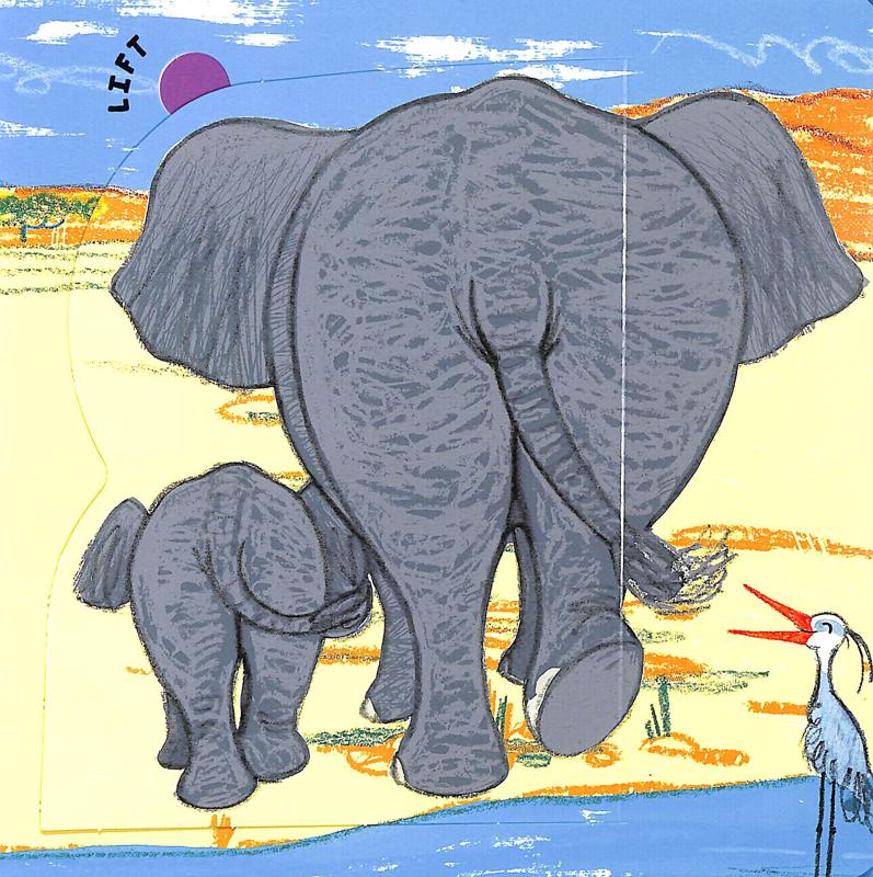 wild bottoms: a lift-the-flap book