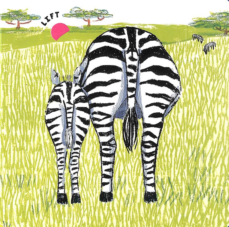 wild bottoms: a lift-the-flap book