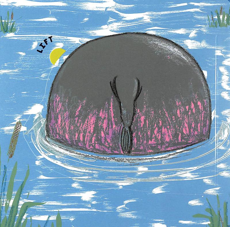 wild bottoms: a lift-the-flap book