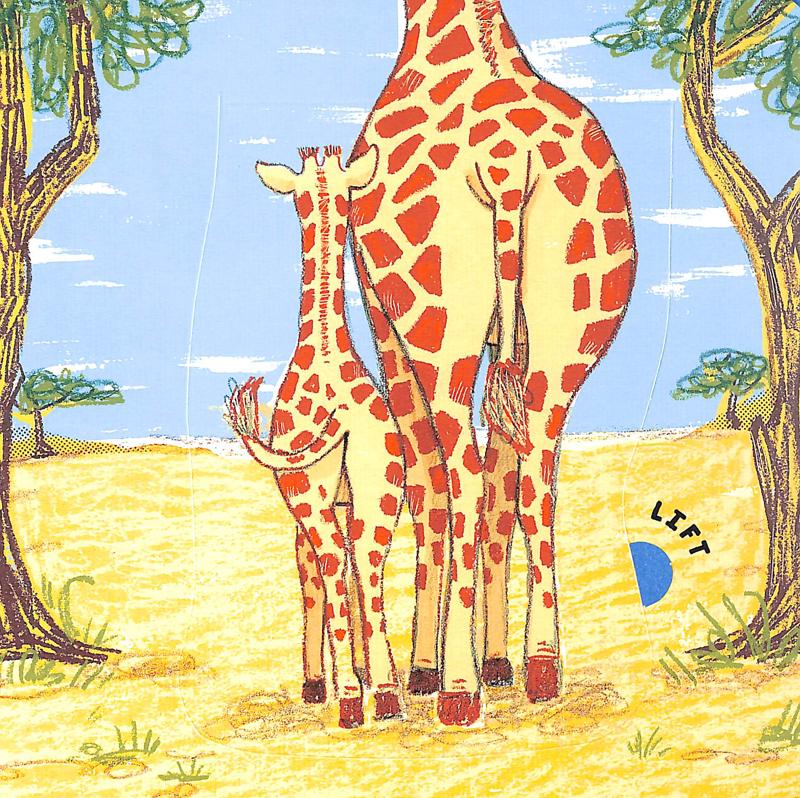 wild bottoms: a lift-the-flap book