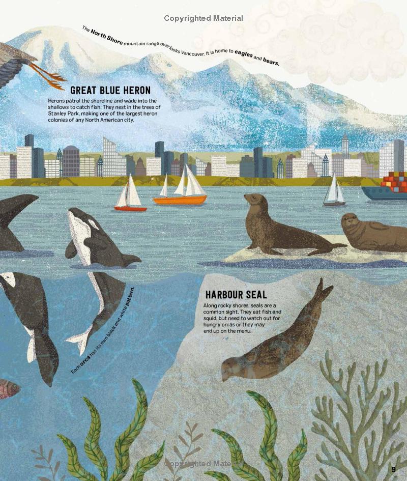 wild city: meet the animals who share our city spaces