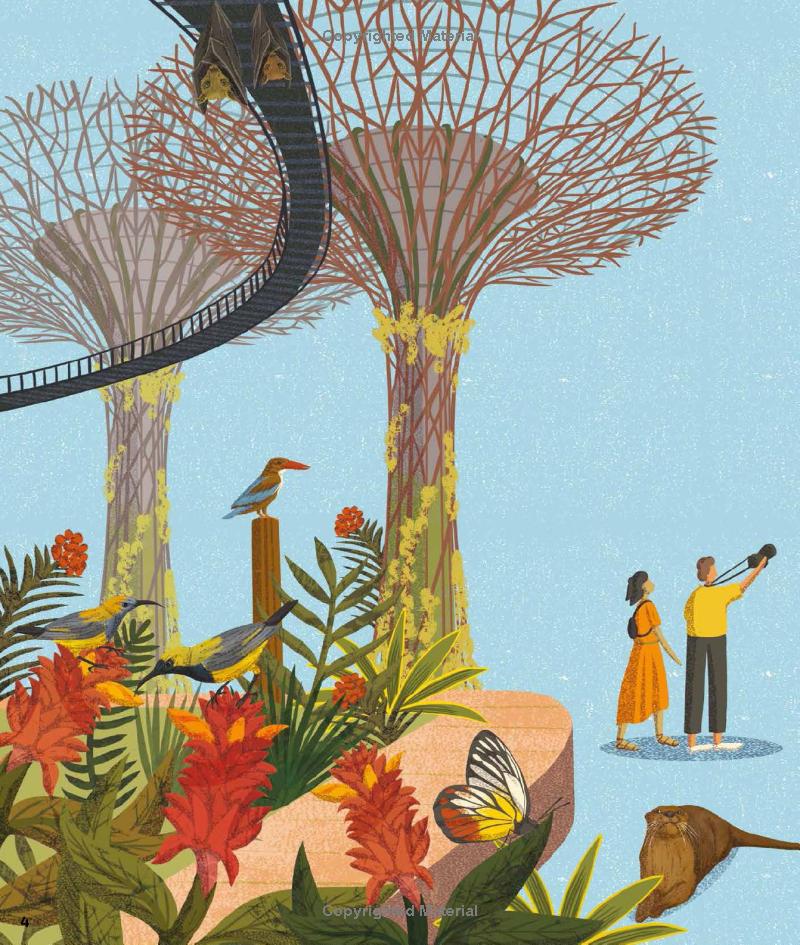 wild city: meet the animals who share our city spaces