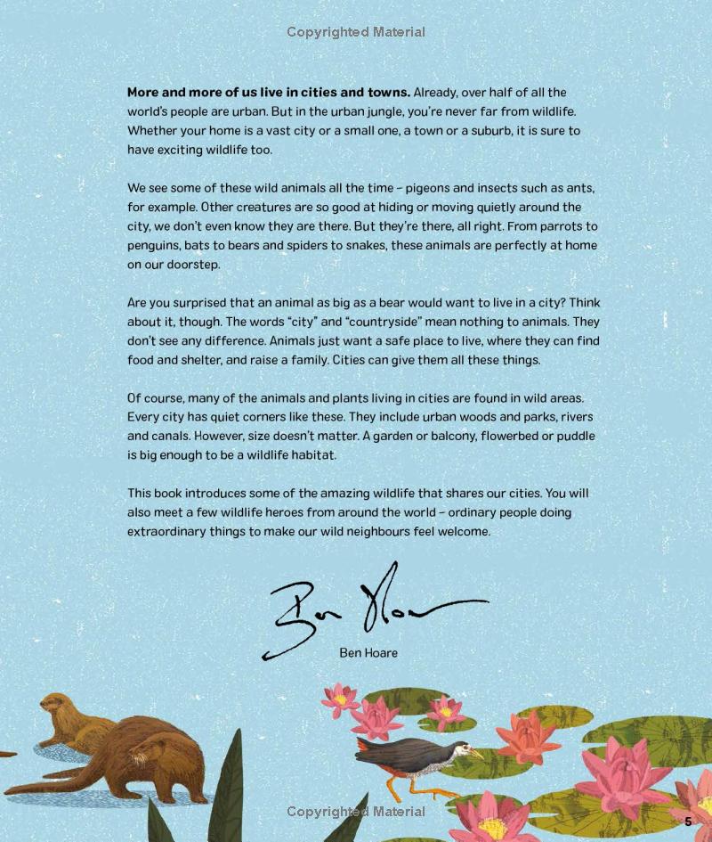 wild city: meet the animals who share our city spaces