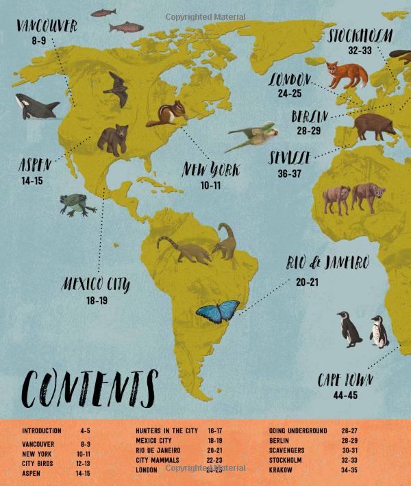 wild city: meet the animals who share our city spaces