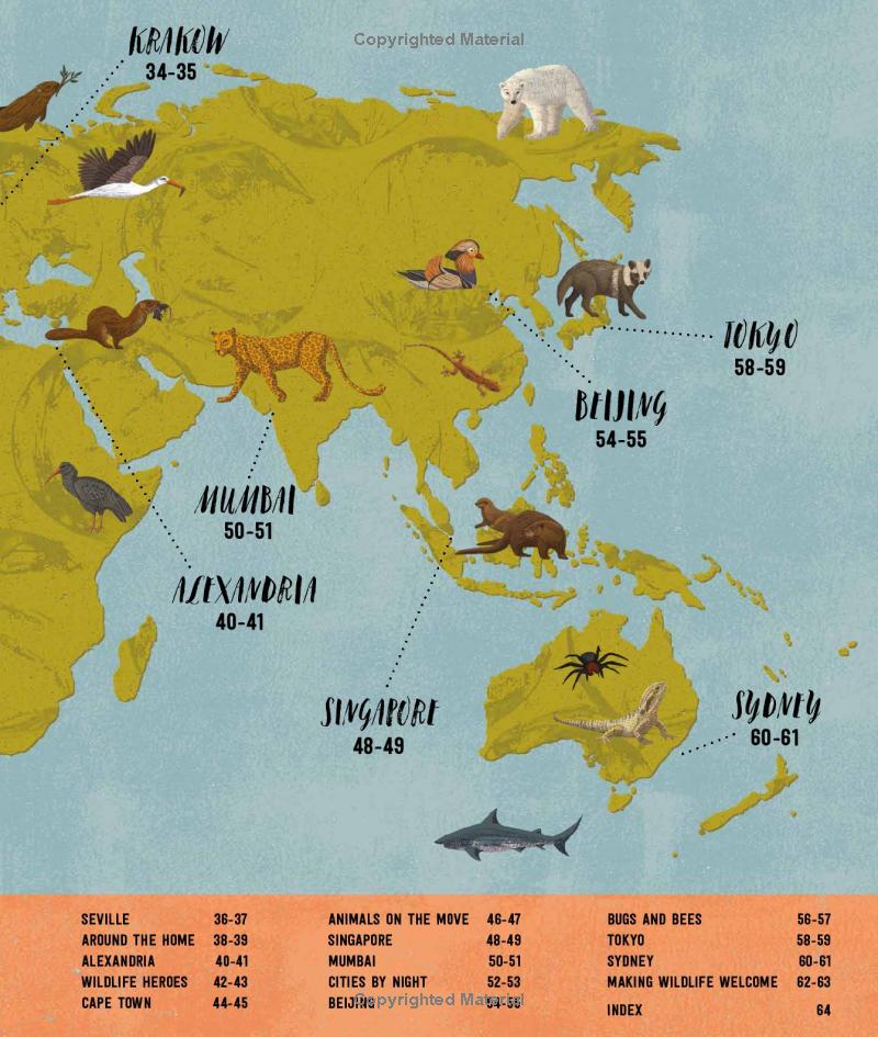 wild city: meet the animals who share our city spaces