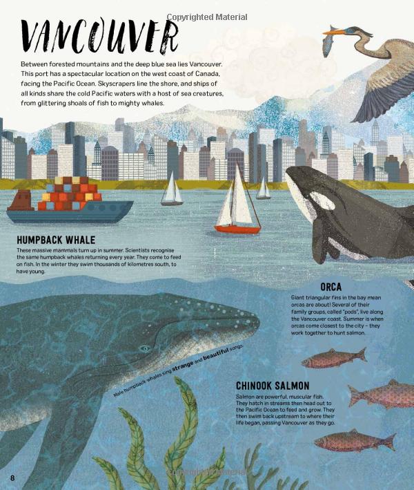 wild city: meet the animals who share our city spaces