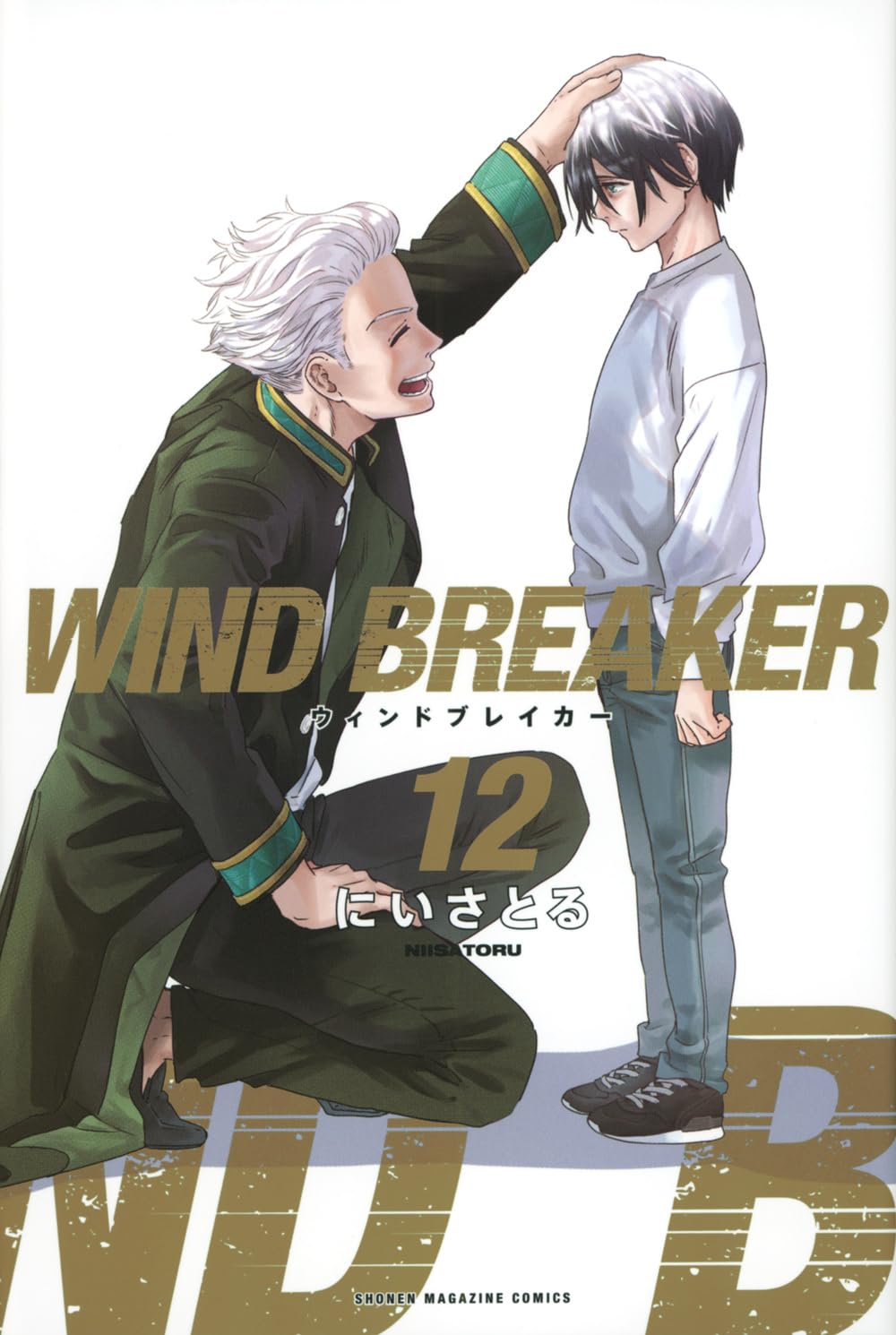 wind breaker 12