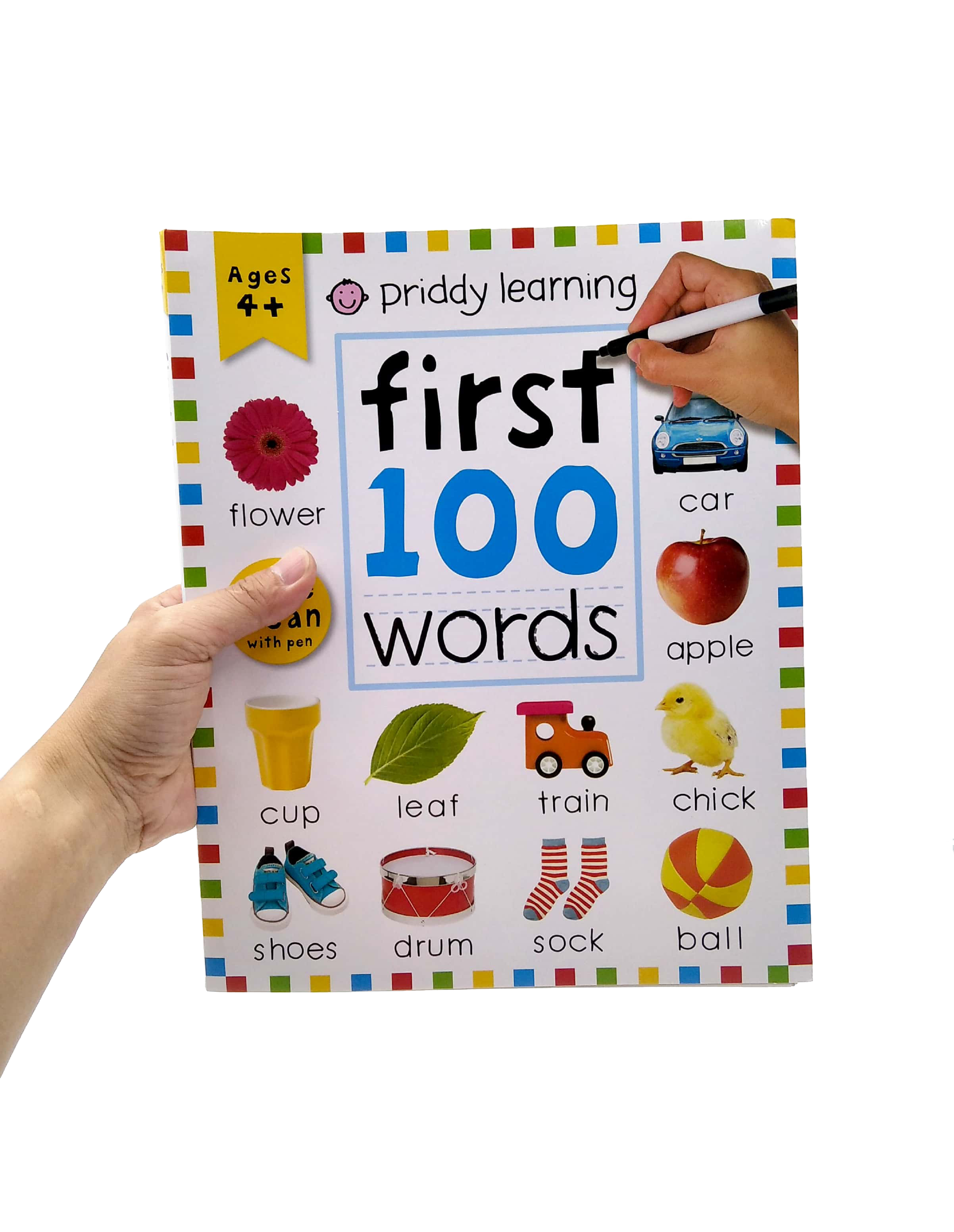 wipe clean: first 100 words (enclosed spiral binding)