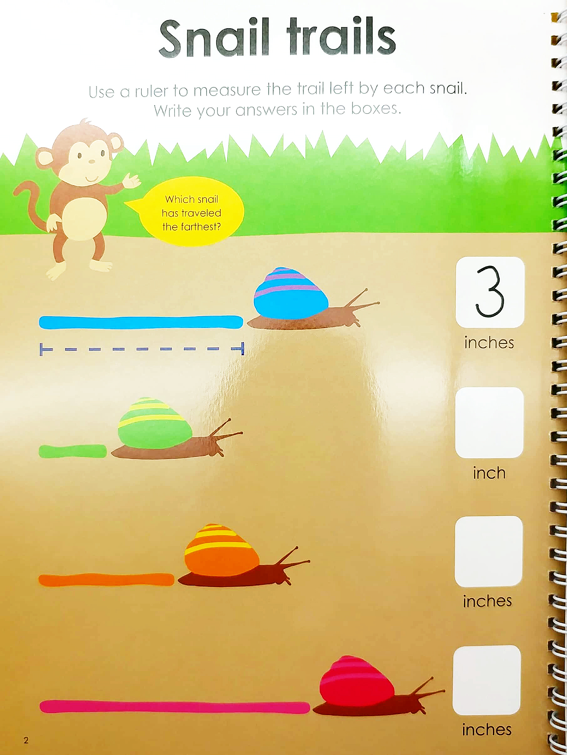 wipe clean workbook: everyday math