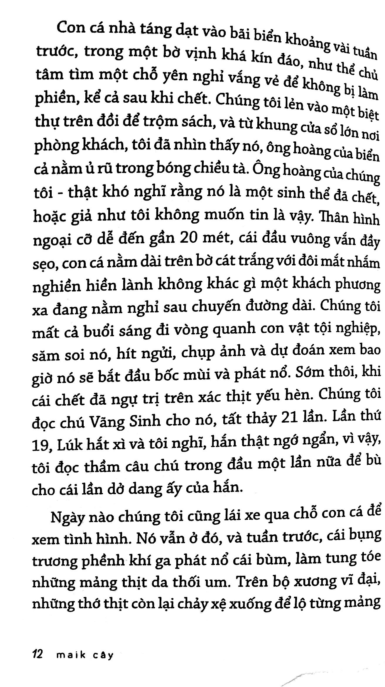 wittgenstein của thiên đường đen