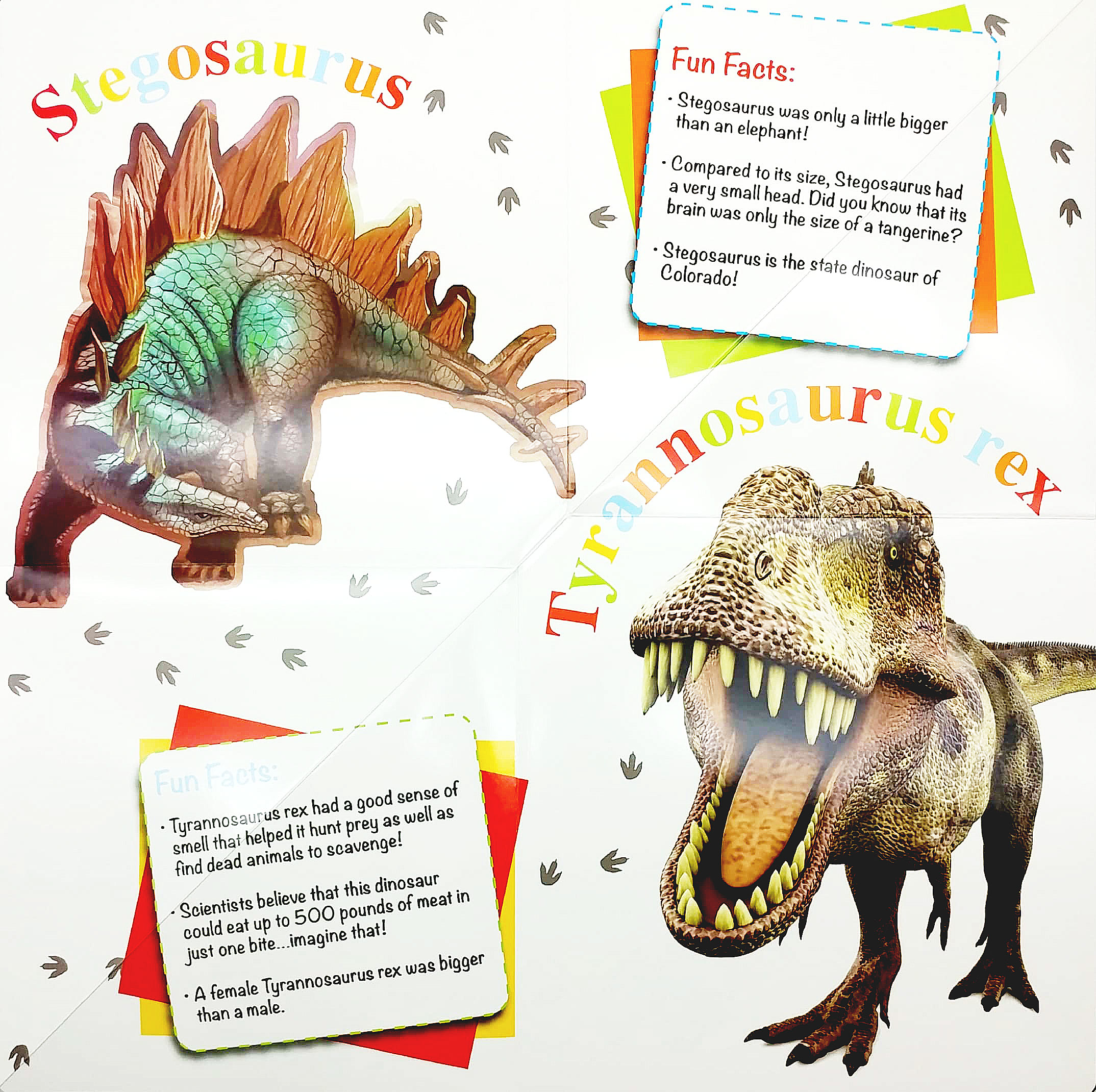 wonder of learning - discover dinosaurs foldout reference book