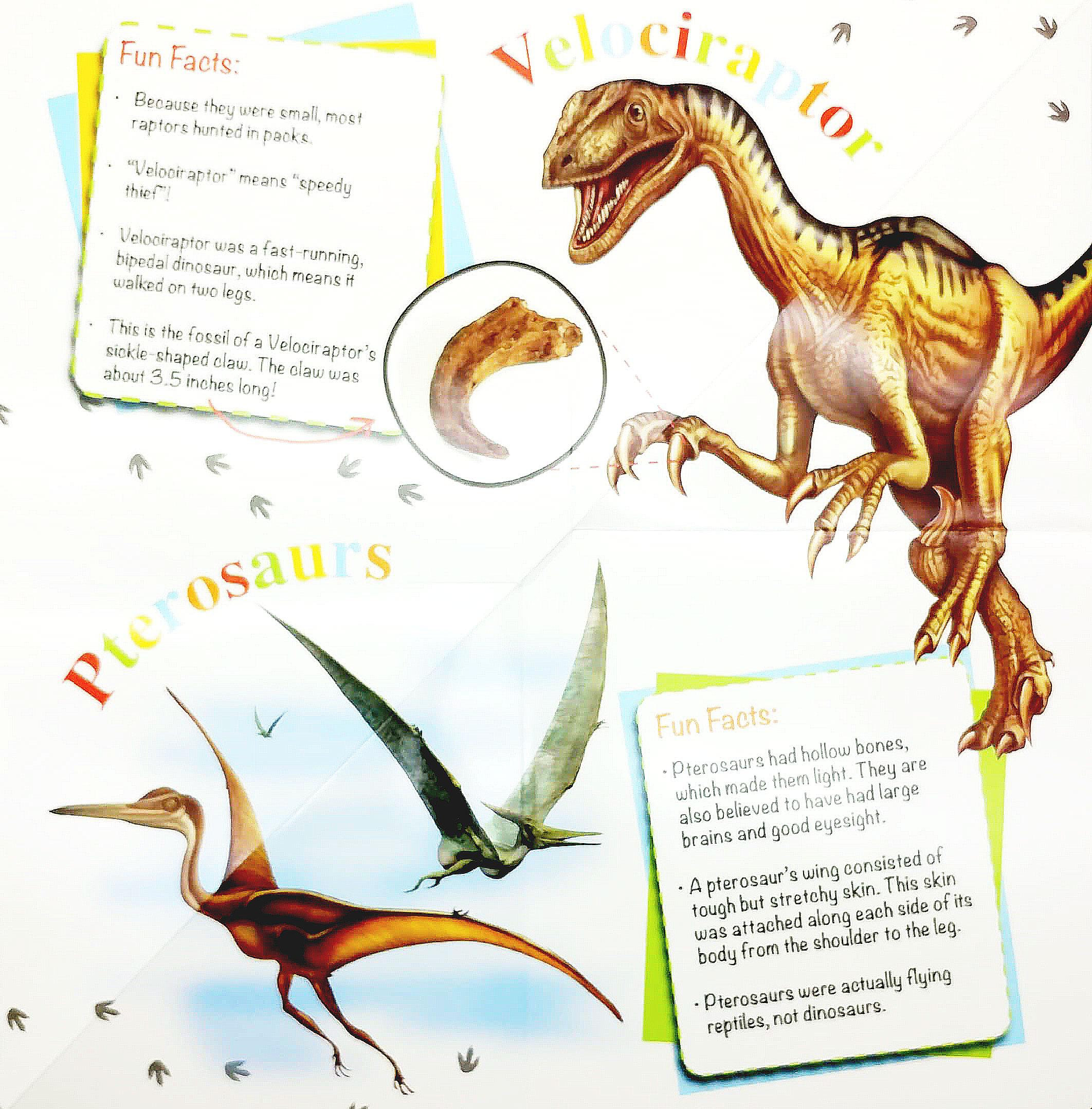 wonder of learning - discover dinosaurs foldout reference book