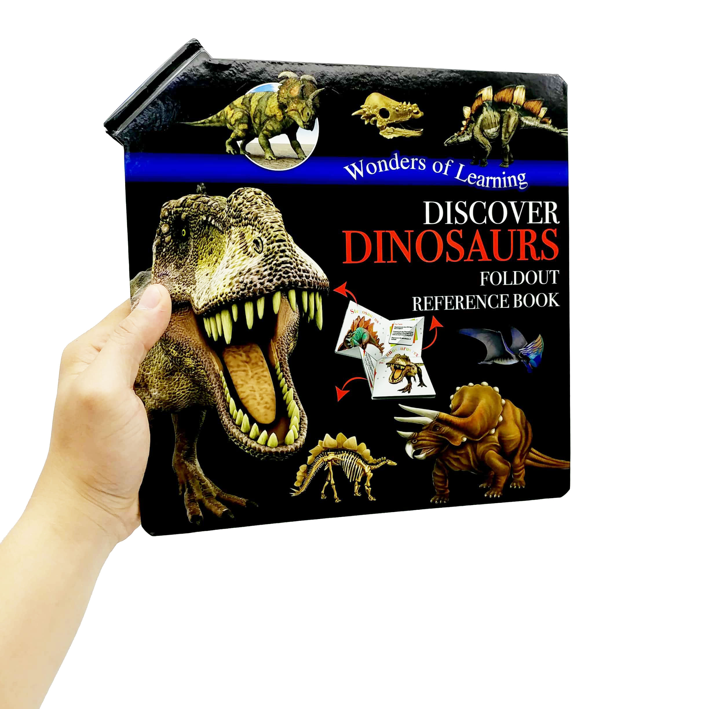 wonder of learning - discover dinosaurs foldout reference book