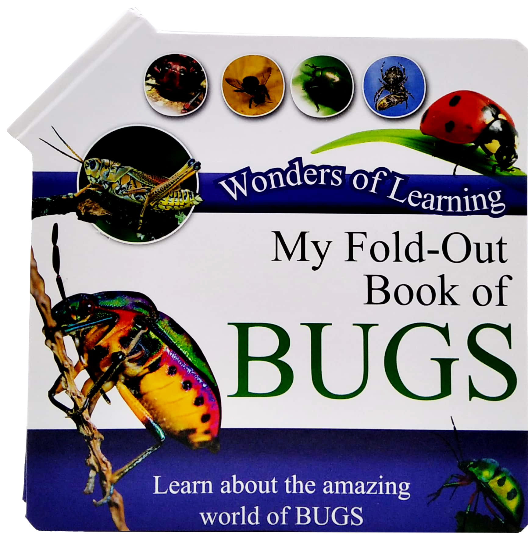 wonder of learning - my fold-out book of bugs