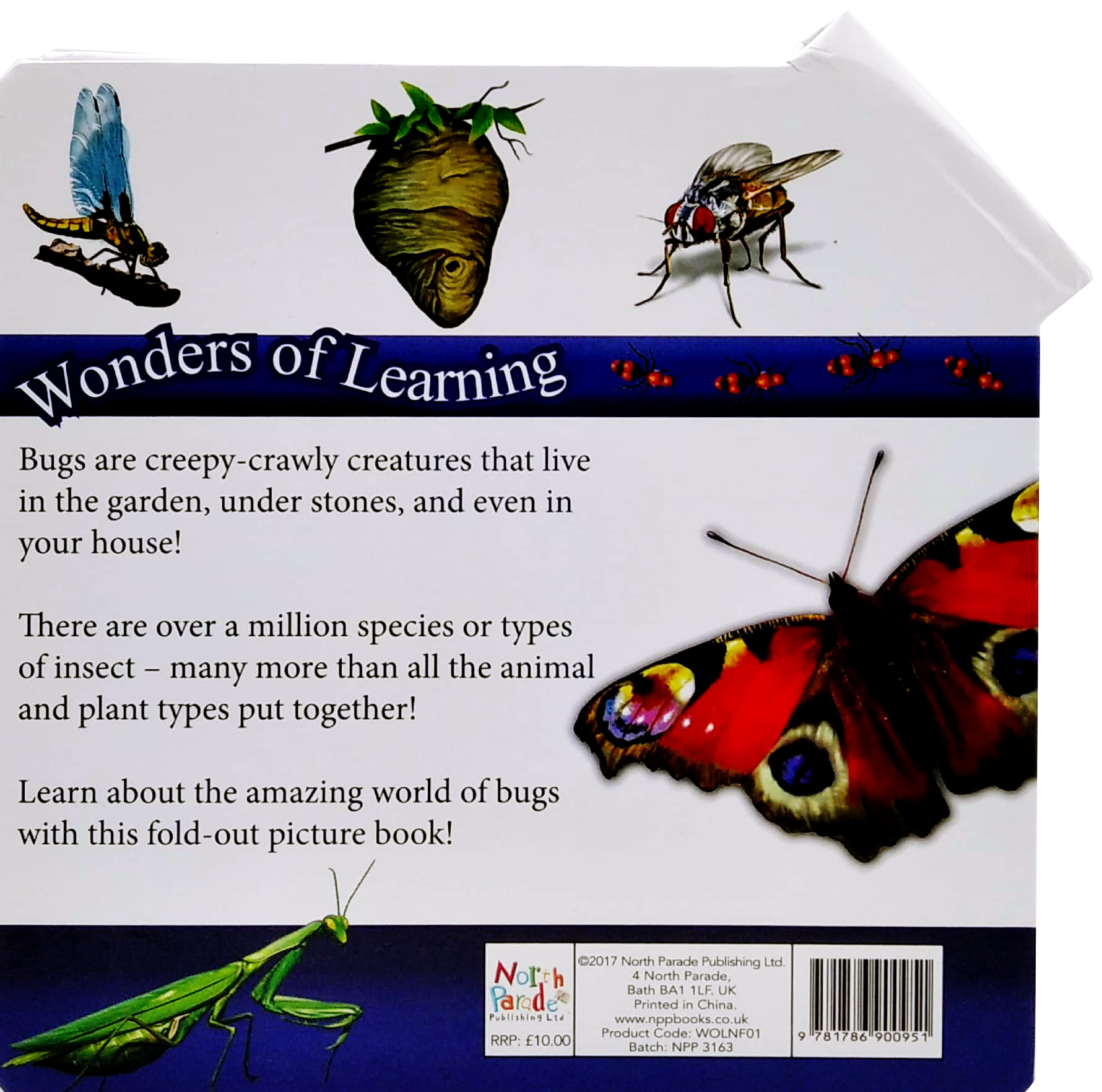 wonder of learning - my fold-out book of bugs