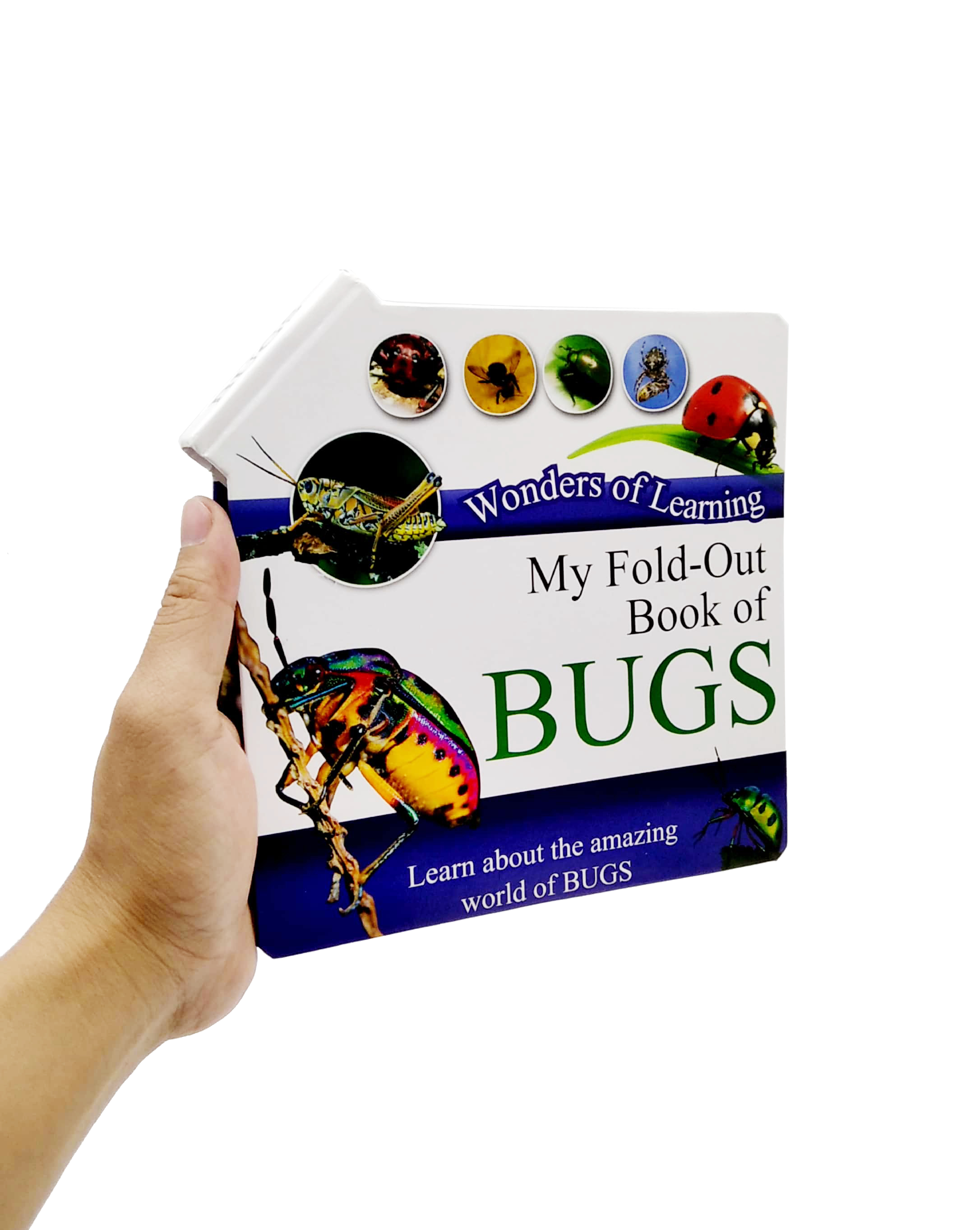 wonder of learning - my fold-out book of bugs