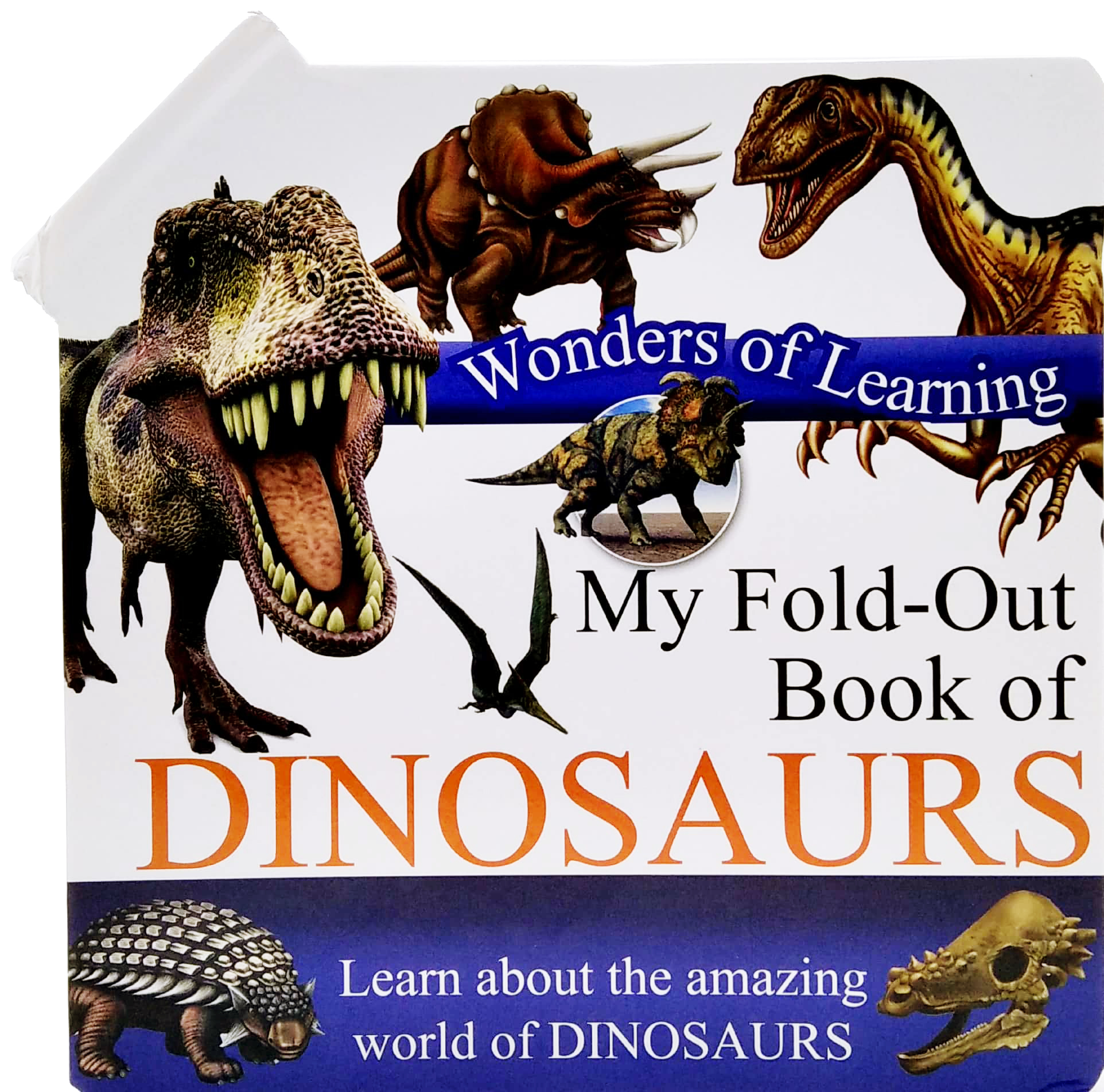 wonder of learning - my fold-out book of dinosaurs