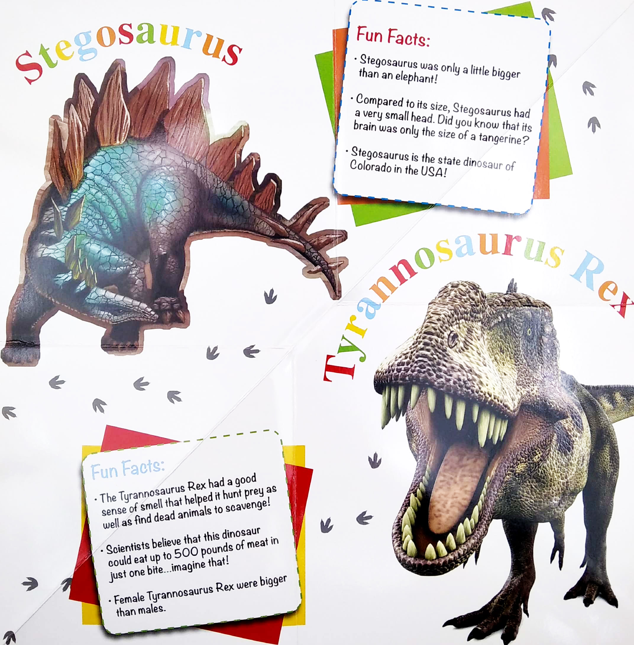 wonder of learning - my fold-out book of dinosaurs