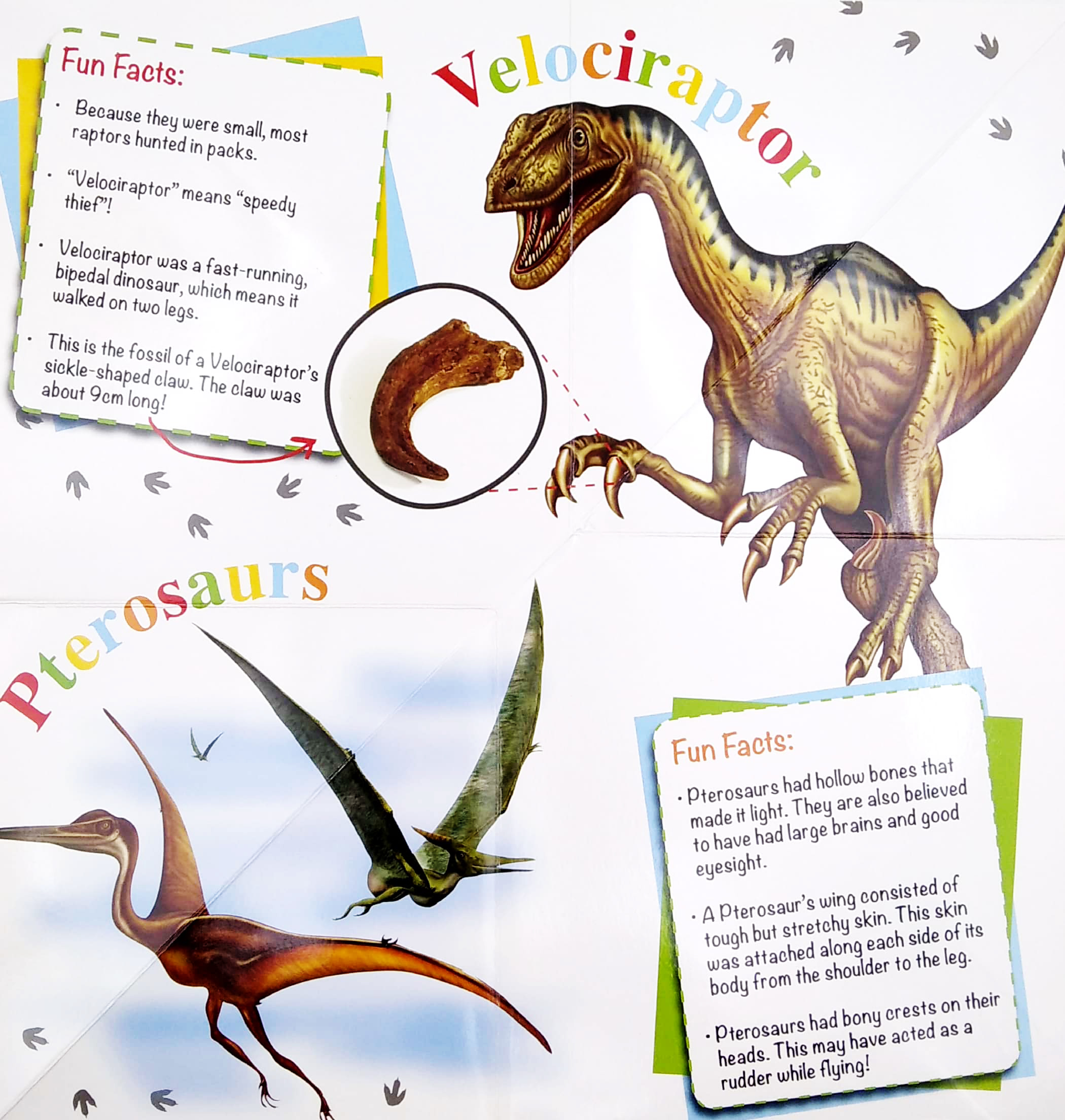 wonder of learning - my fold-out book of dinosaurs