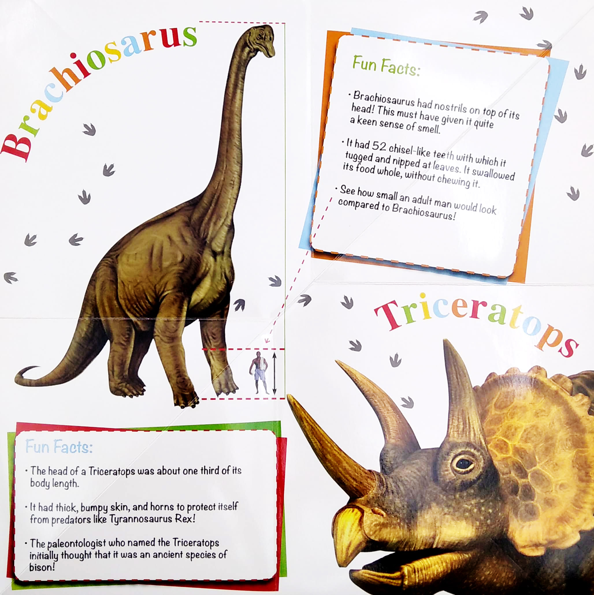 wonder of learning - my fold-out book of dinosaurs