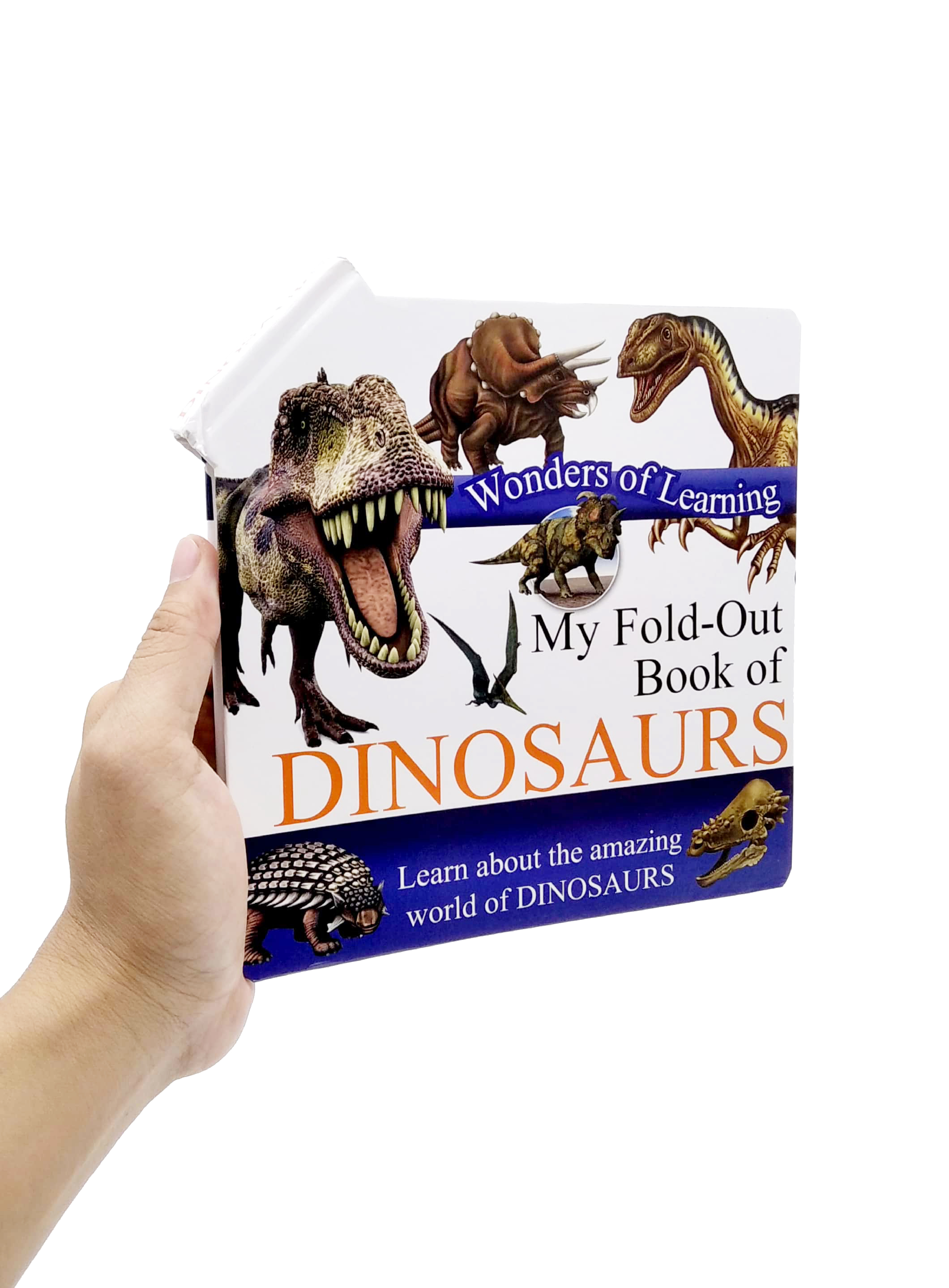 wonder of learning - my fold-out book of dinosaurs