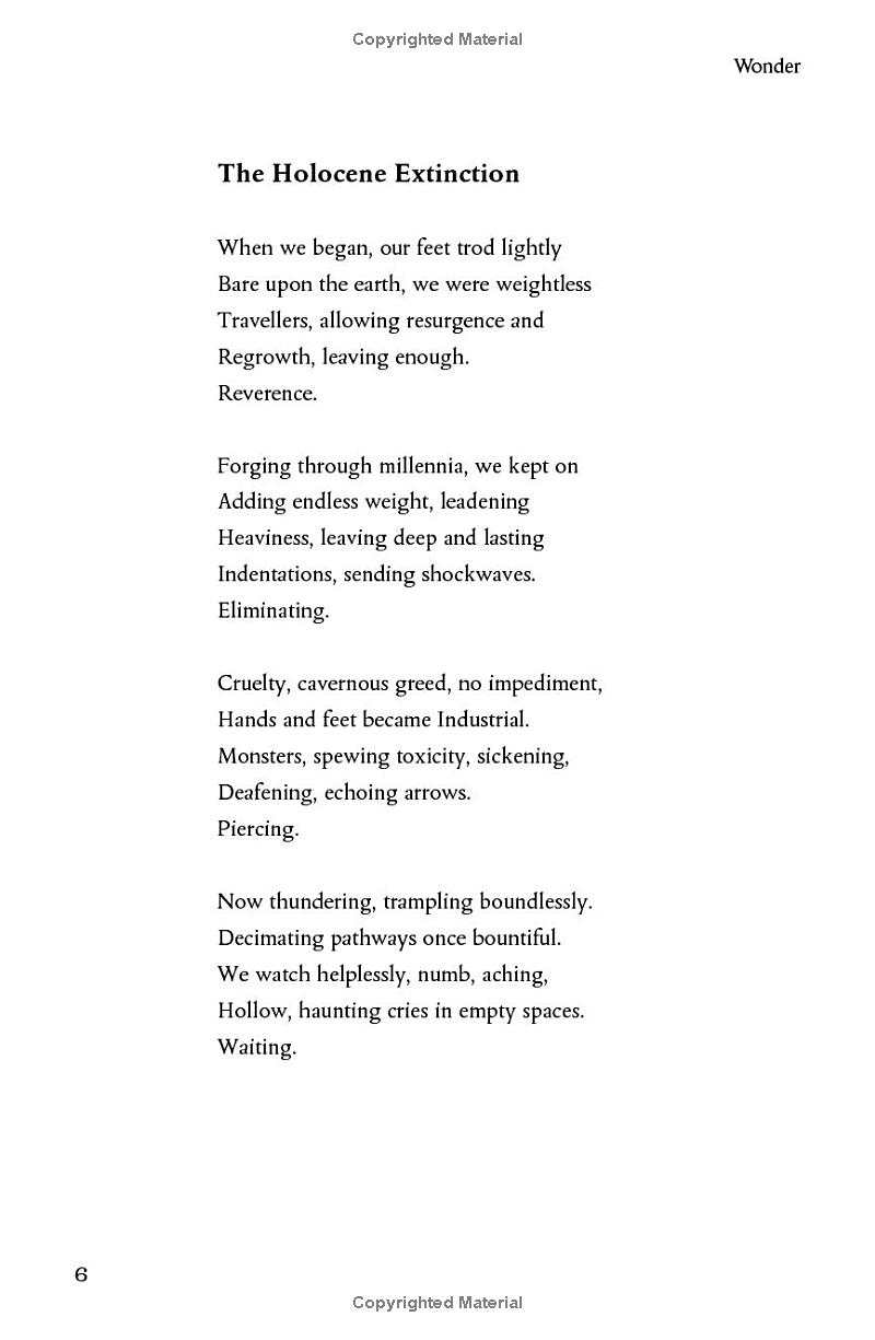 wonder - the natural history museum