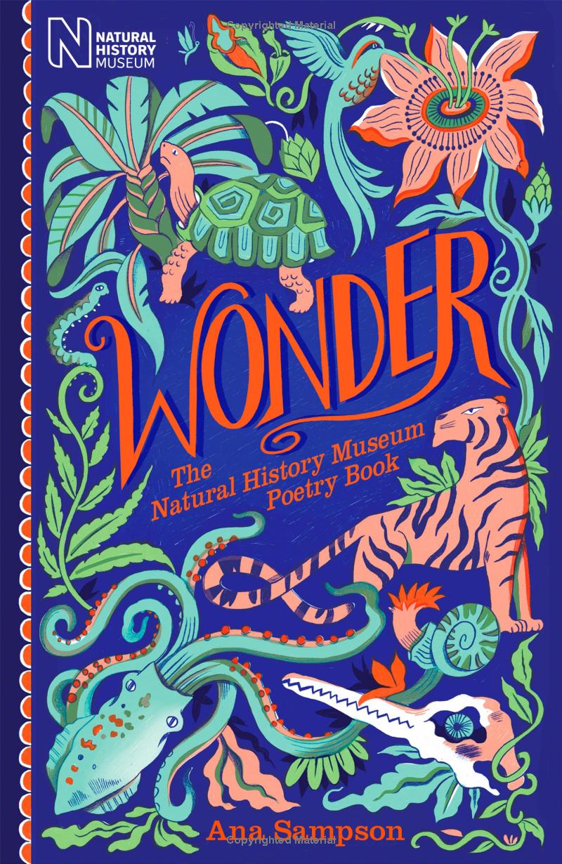 wonder - the natural history museum
