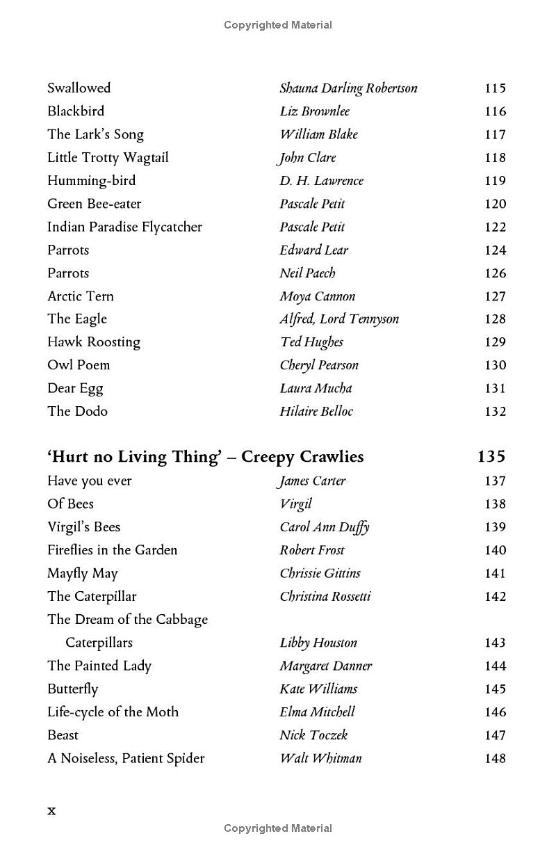 wonder - the natural history museum