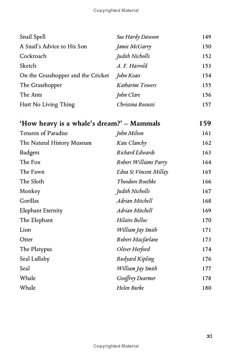 wonder - the natural history museum