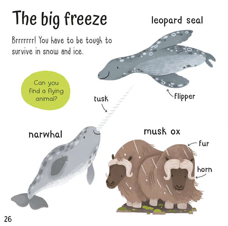 wonderful words: animals!