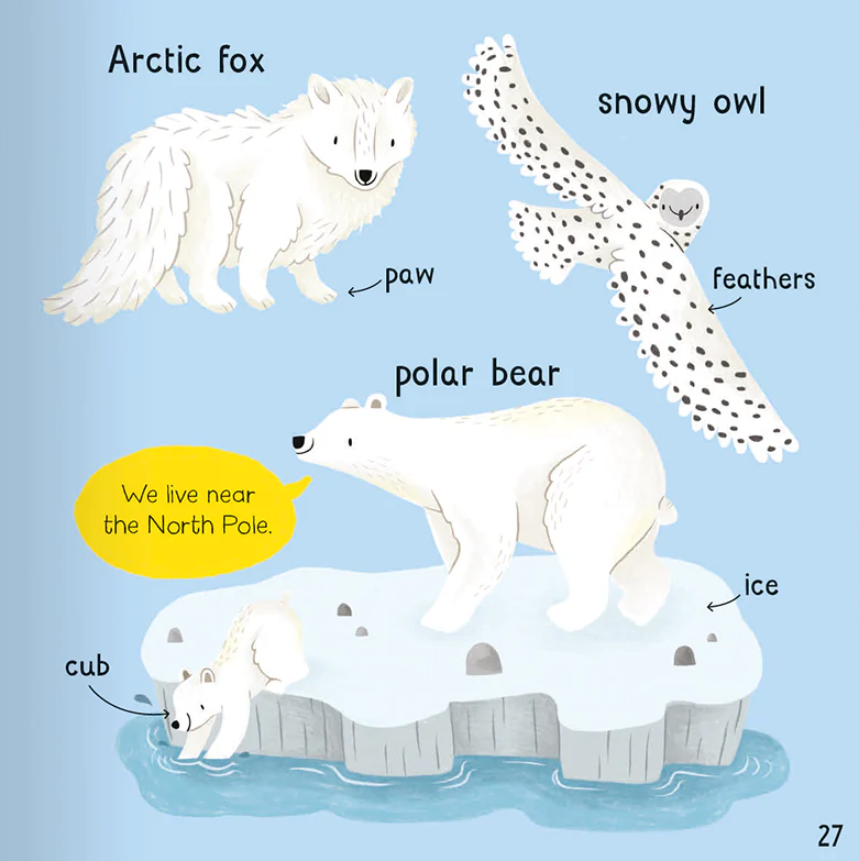 wonderful words: animals!