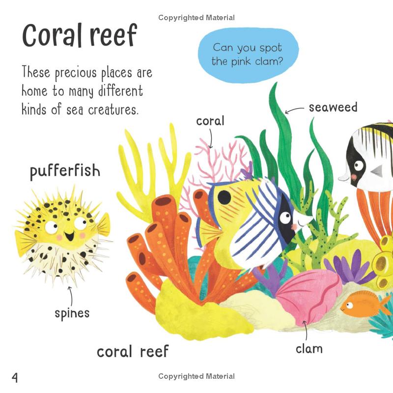 wonderful words - under the sea!